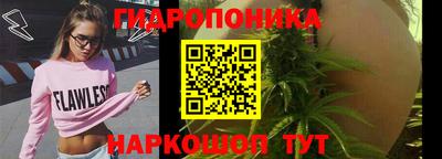 индика Краснокаменск