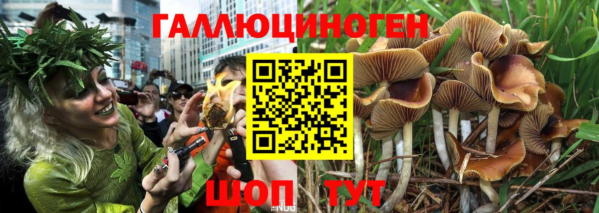 Псилоцибиновые грибы мицелий Гусь-Хрустальный