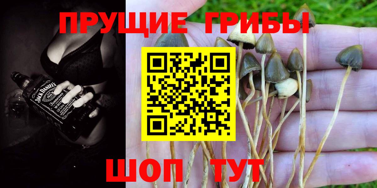 Гусь-Хрустальный  закладки  Вход с VPN  Галлюциногенные грибы Cubensis 